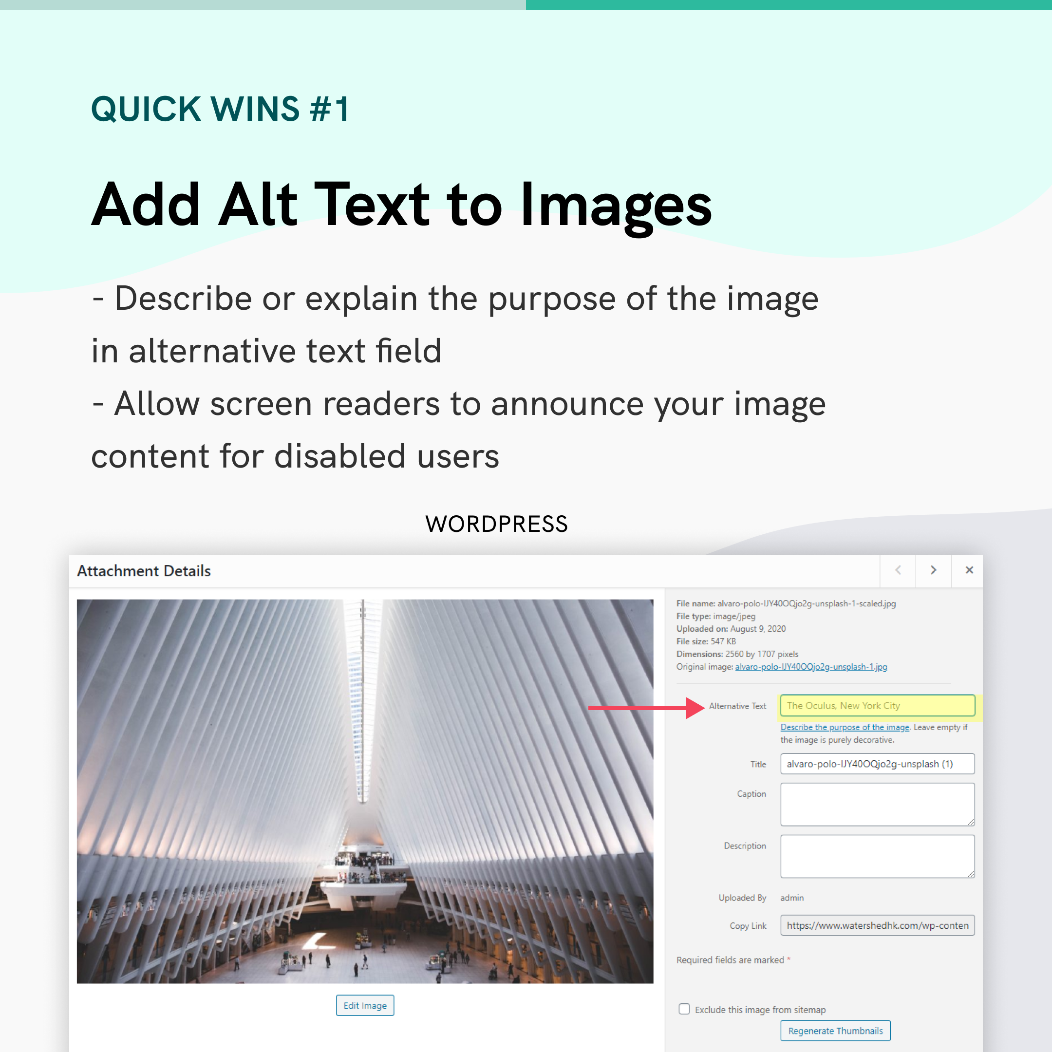 Add Alt Text to Images. Describe or explain the purpose of the image in alternative text field, allow screen readers to announce your image content for disabled users